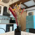 Apartman Cozy, New Country Kassa